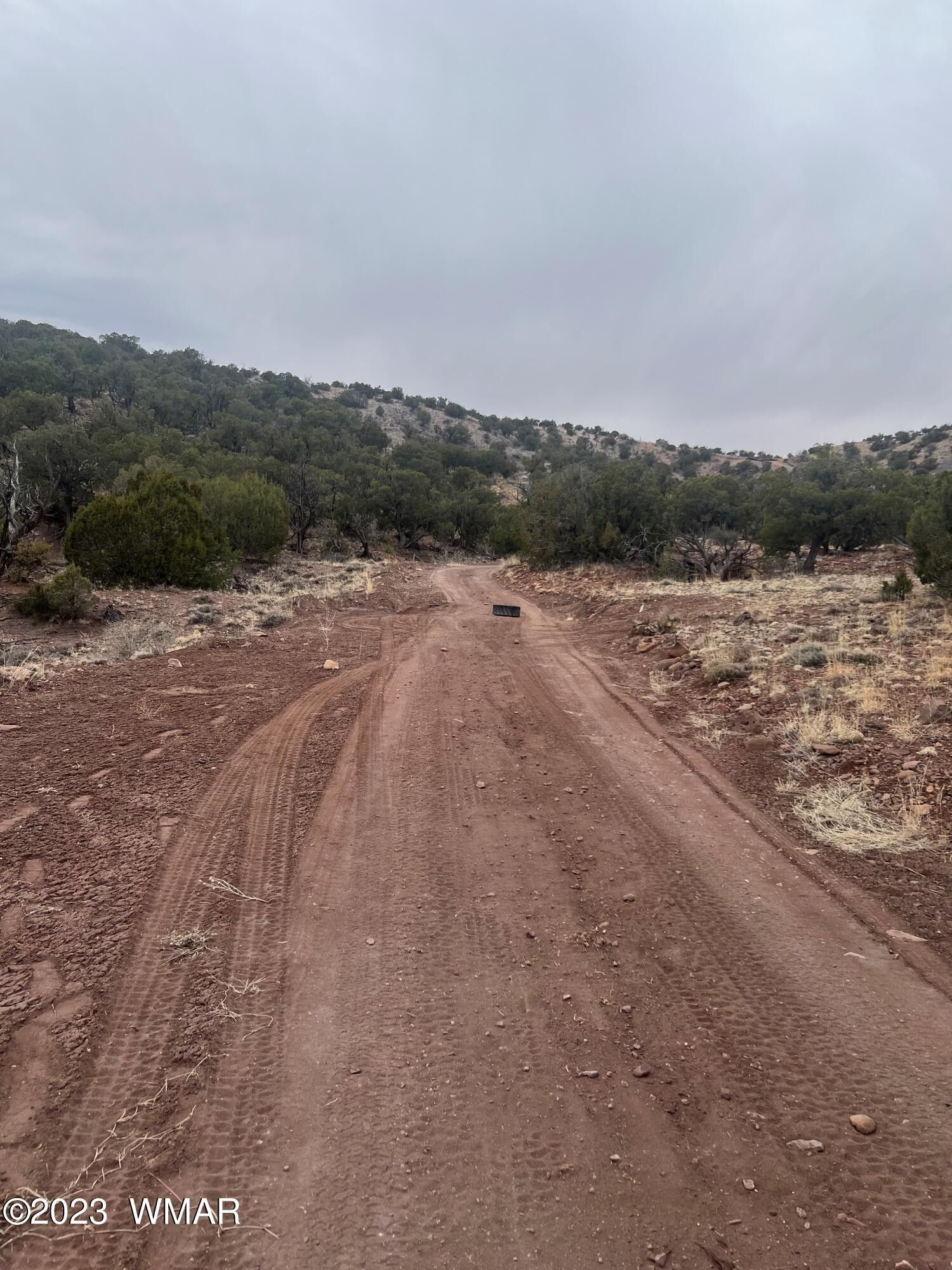 Concho, Apache County, AZ for sale Property ID 416876327 LandWatch