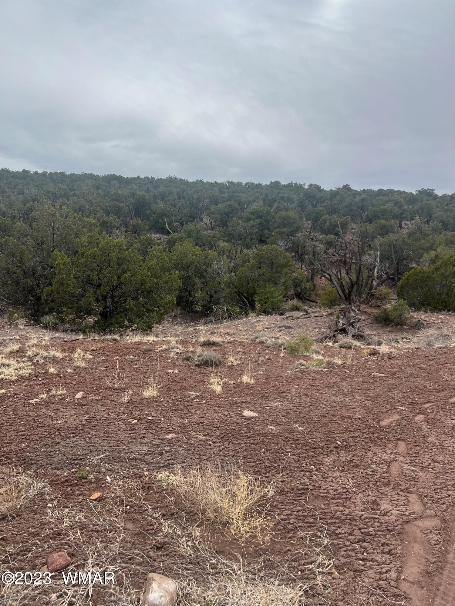 Concho, Apache County, AZ for sale Property ID 416876332 LandWatch