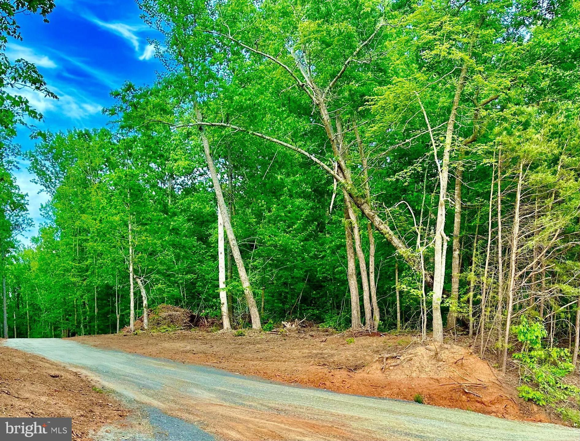 Reva, Madison County, VA Undeveloped Land for sale Property ID