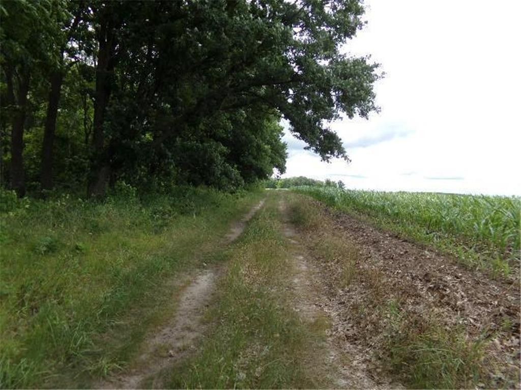 Poplar, Todd County, MN Farms and Ranches for sale Property ID