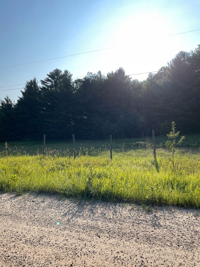 East Jordan, Charlevoix County, MI Recreational Property, Undeveloped