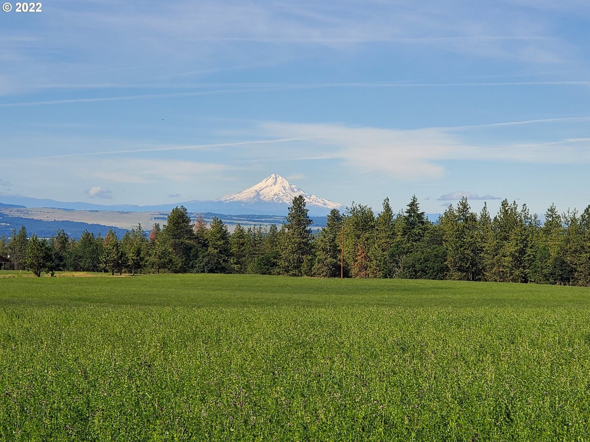 Goldendale, Klickitat County, WA Undeveloped Land, Homesites for sale