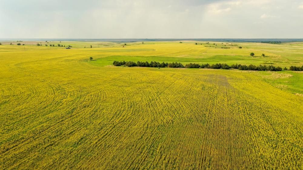 00000 D 380th Ave, Ellis, KS 67637 MLS Trego 314 LandWatch