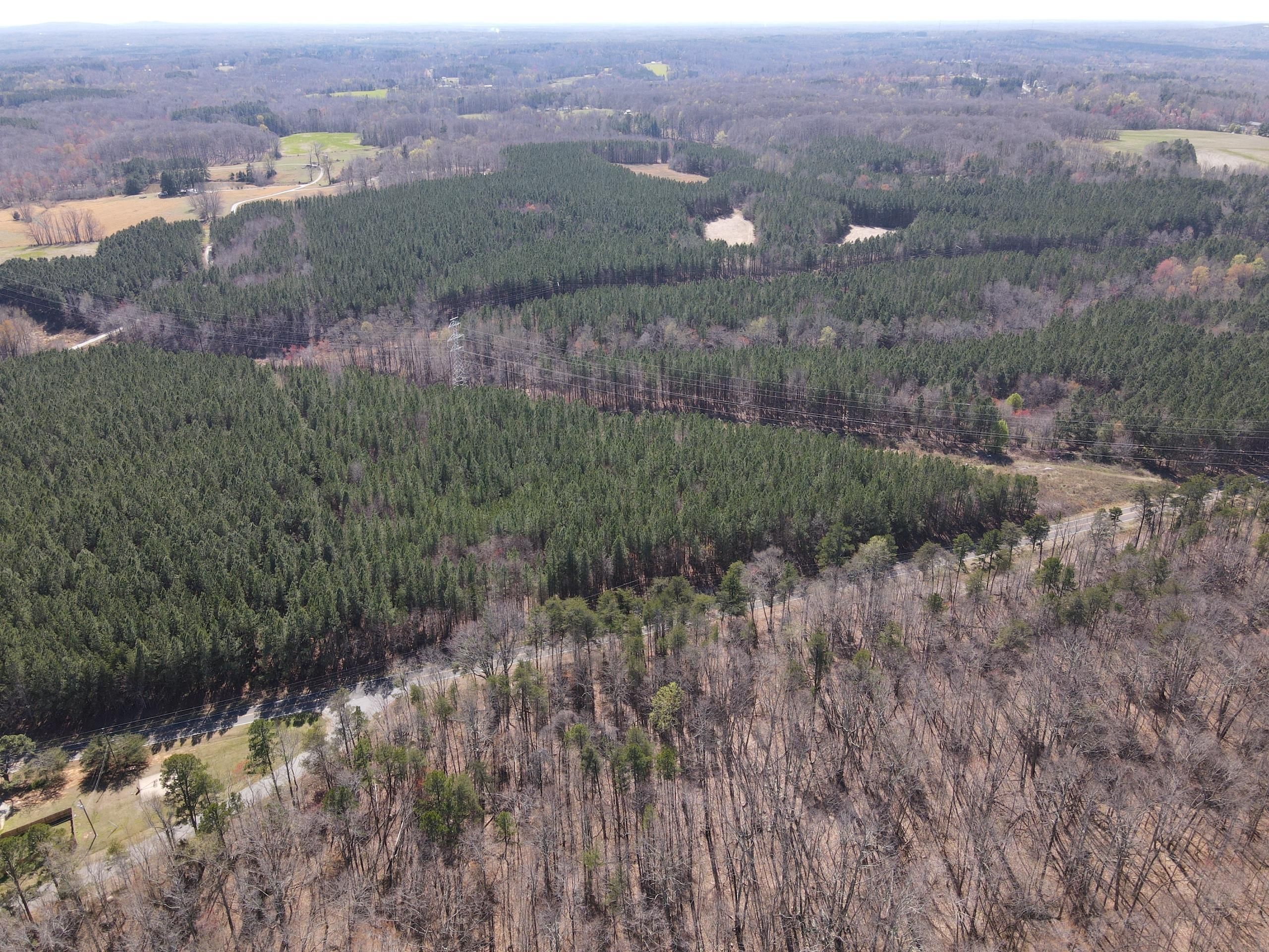 Roxboro, Person County, NC Recreational Property, Timberland Property
