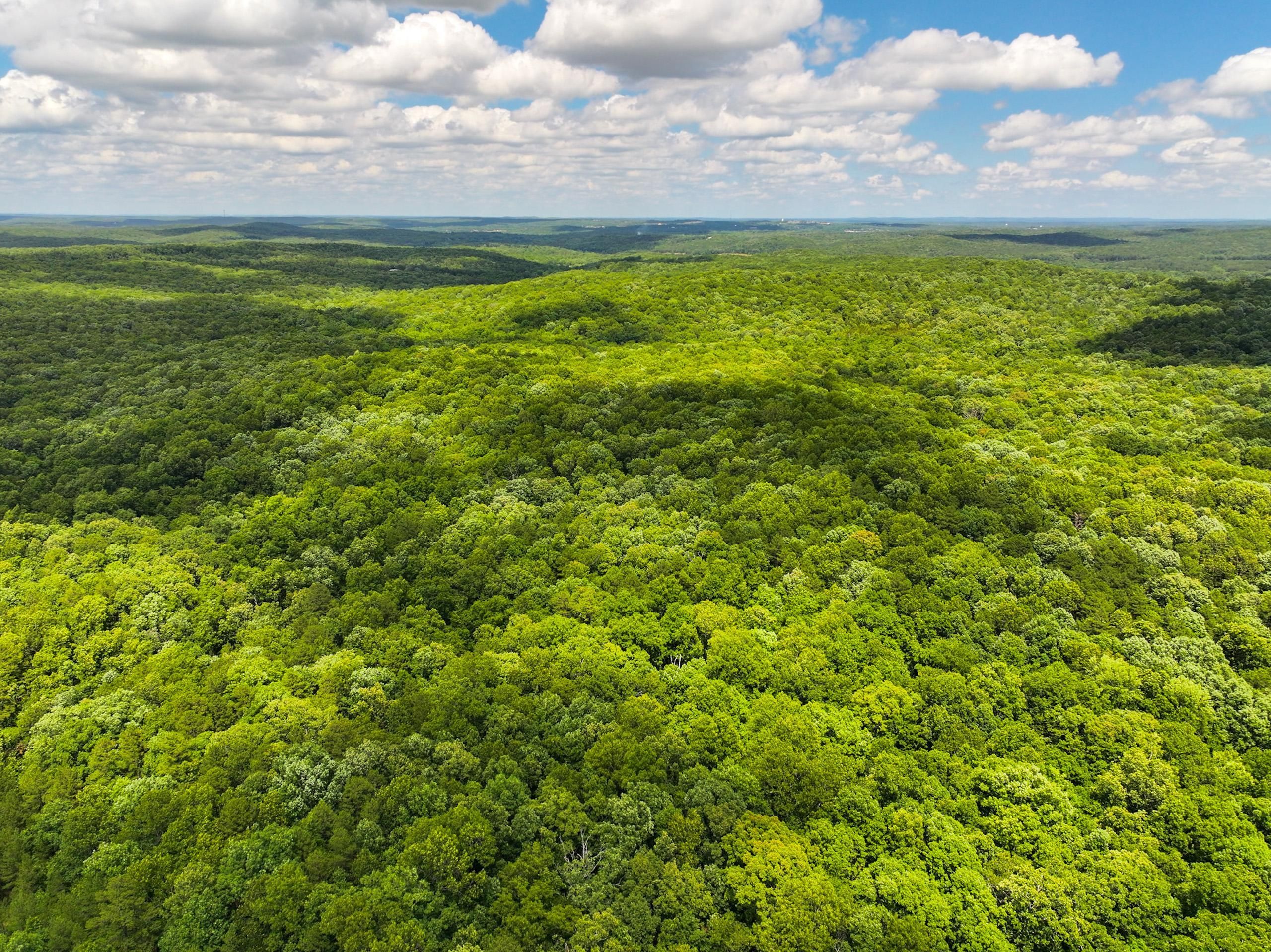 Highway P, Potosi, MO 63664 LandWatch