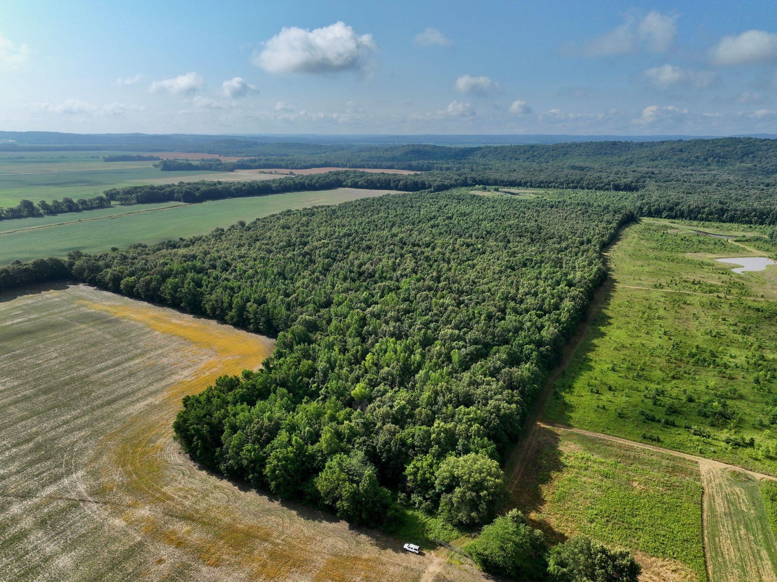 Junction, Gallatin County, IL Recreational Property, Timberland Property, Hunting Property for