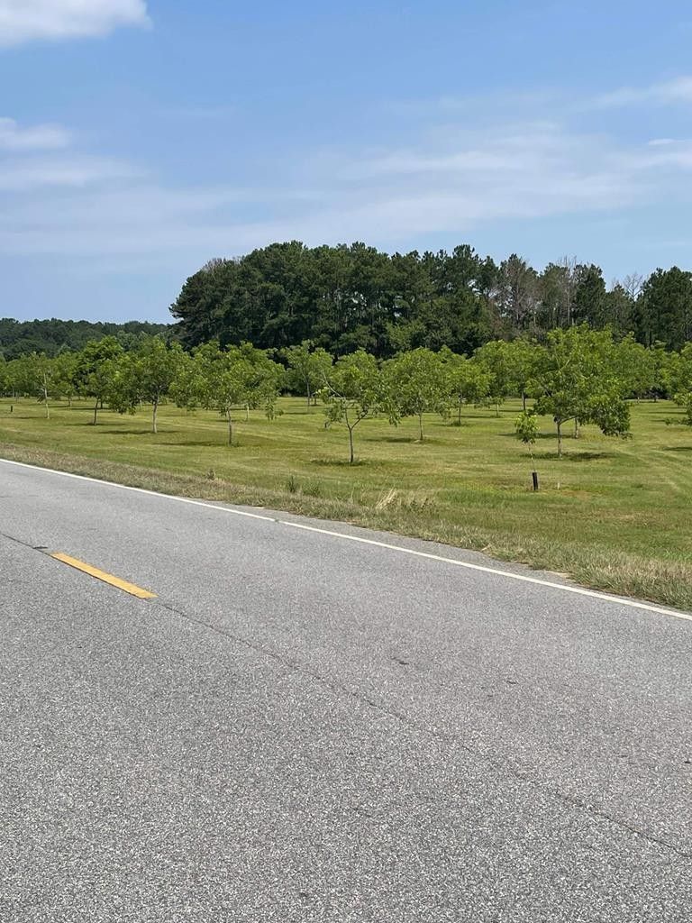 Wray, Irwin County, GA Farms and Ranches for sale Property ID