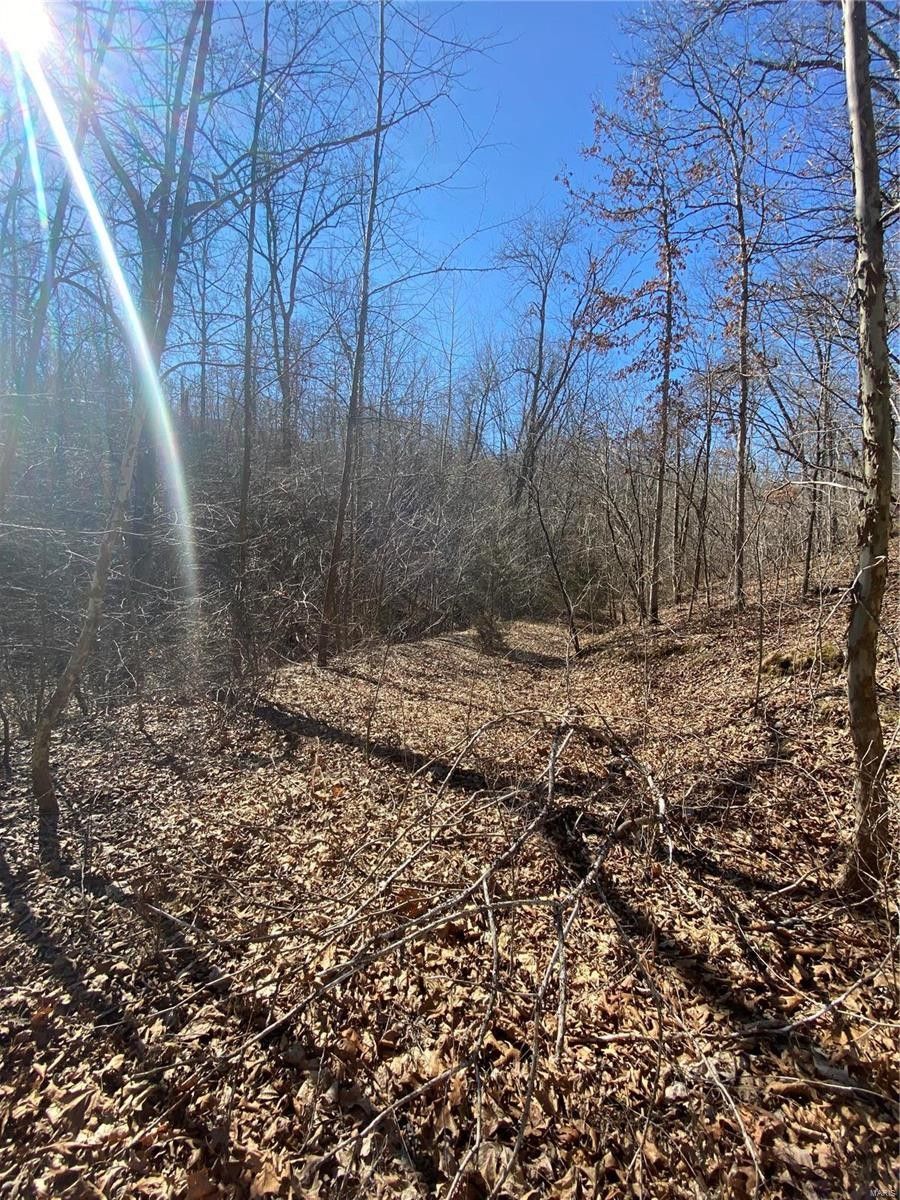 St Robert, Pulaski County, MO Farms and Ranches for sale Property ID