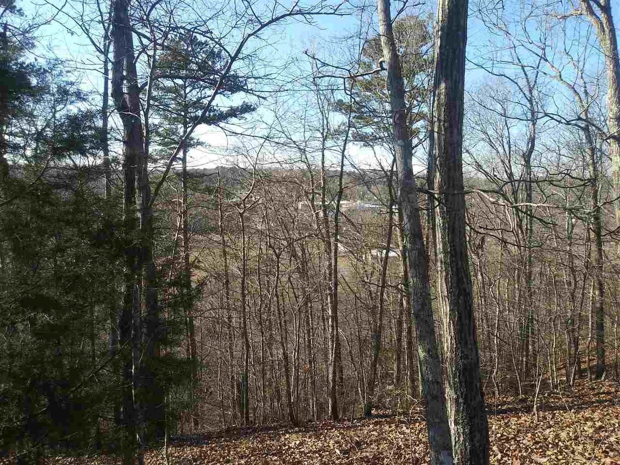 Waynesboro, Wayne County, TN Undeveloped Land for sale Property ID