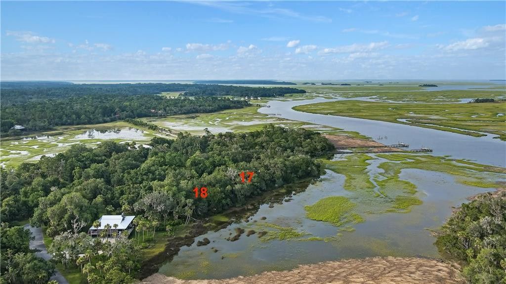 Darien, McIntosh County, GA Undeveloped Land, Lakefront Property