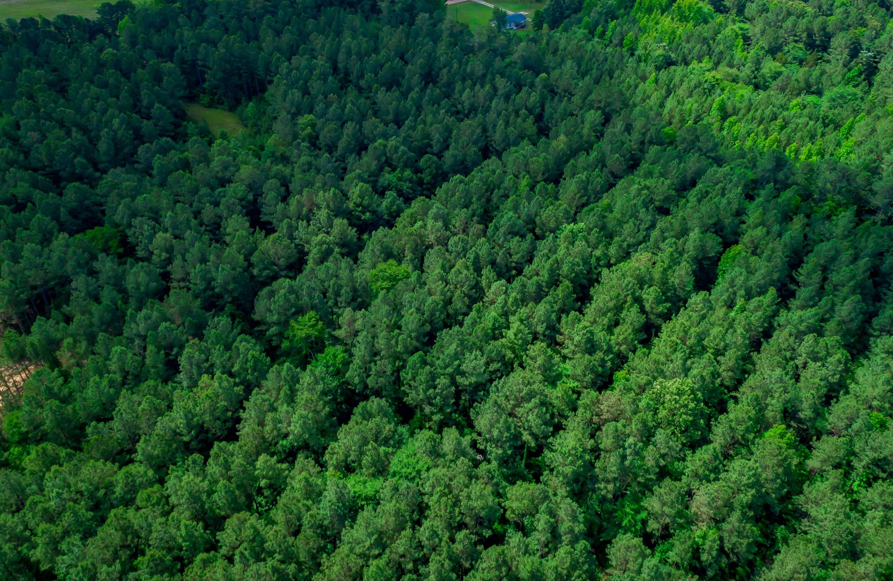 John J Rushton Road, Saluda, SC 29138 LandWatch