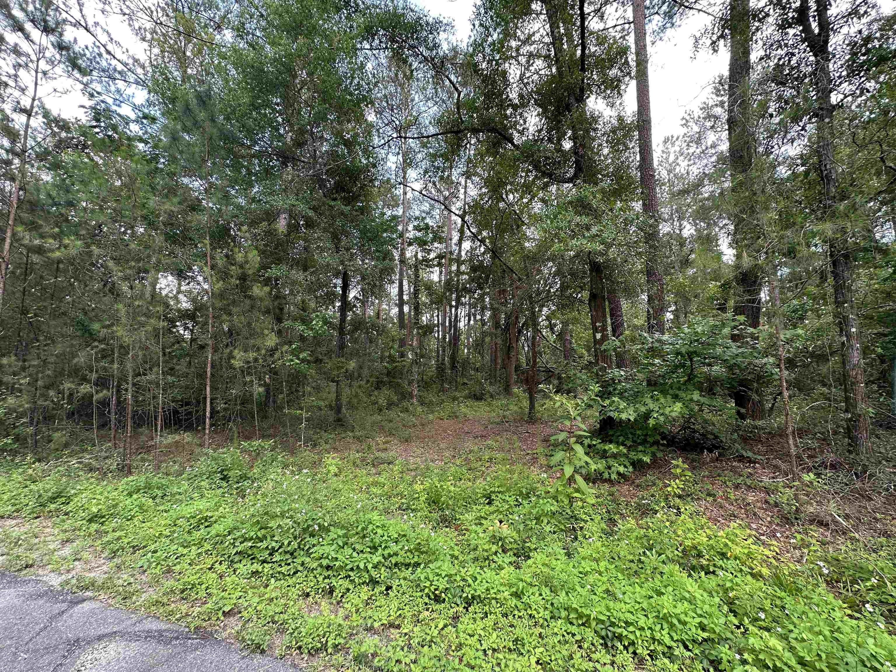 Tallahassee, Leon County, FL Farms and Ranches, Homesites for sale