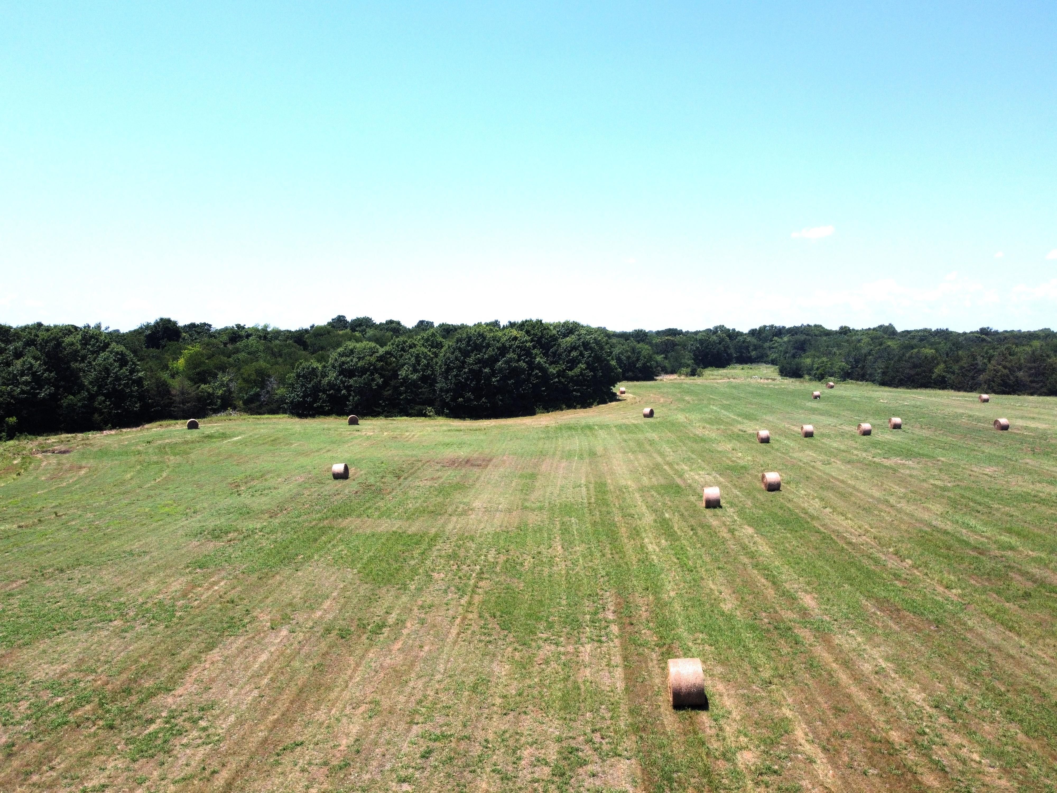 Wolfe City, Hunt County, TX Farms and Ranches for sale Property ID