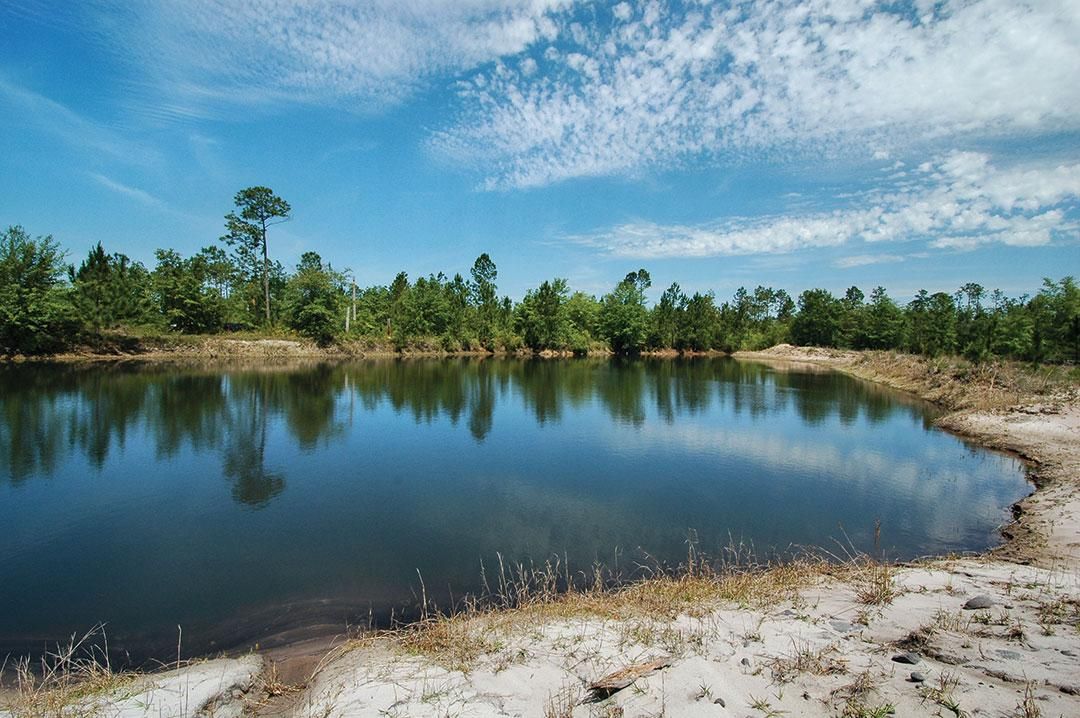 230 acres in Fountain, FL, 32438 LandWatch