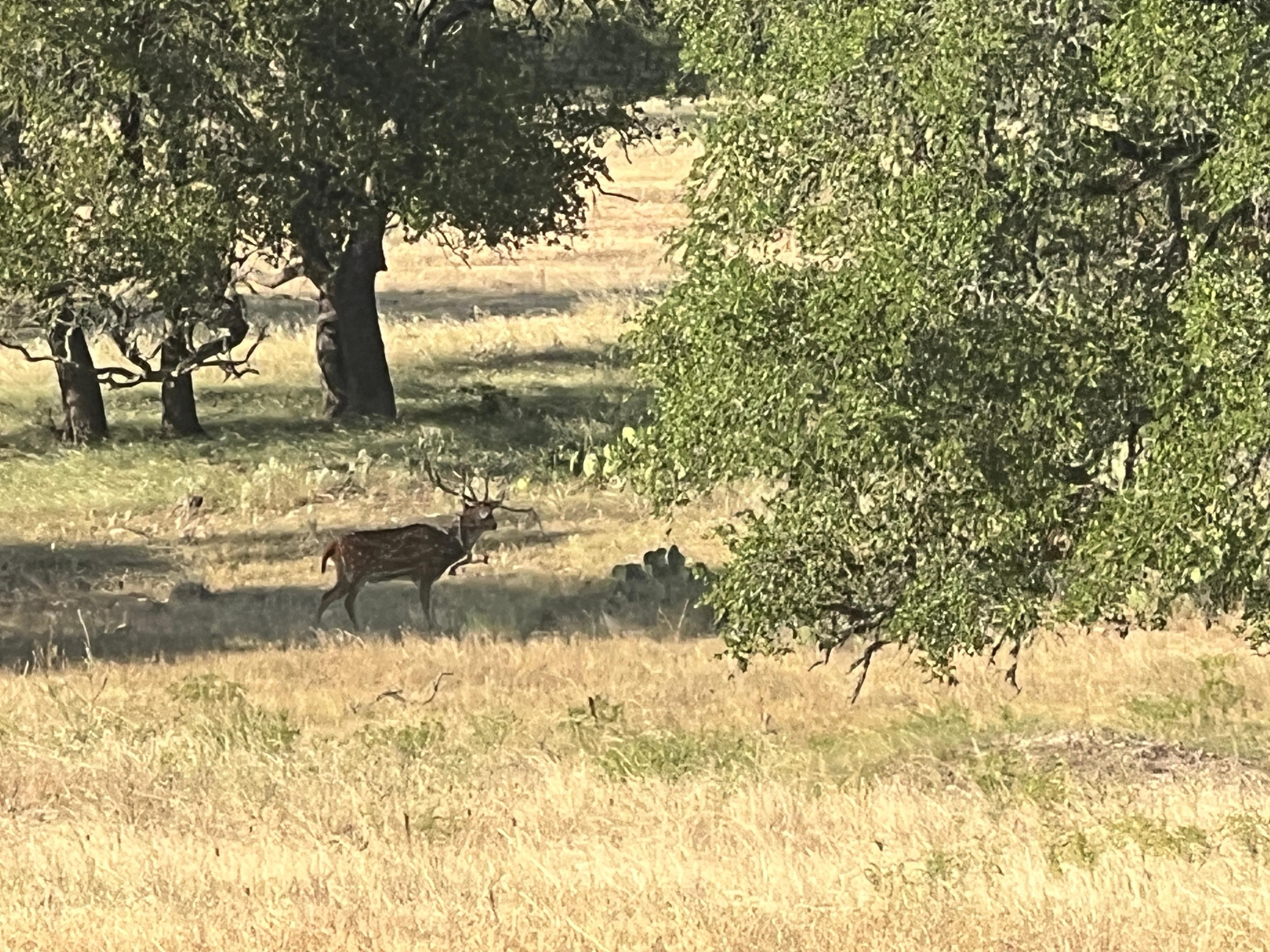 Brady, McCulloch County, TX Farms and Ranches, Recreational Property
