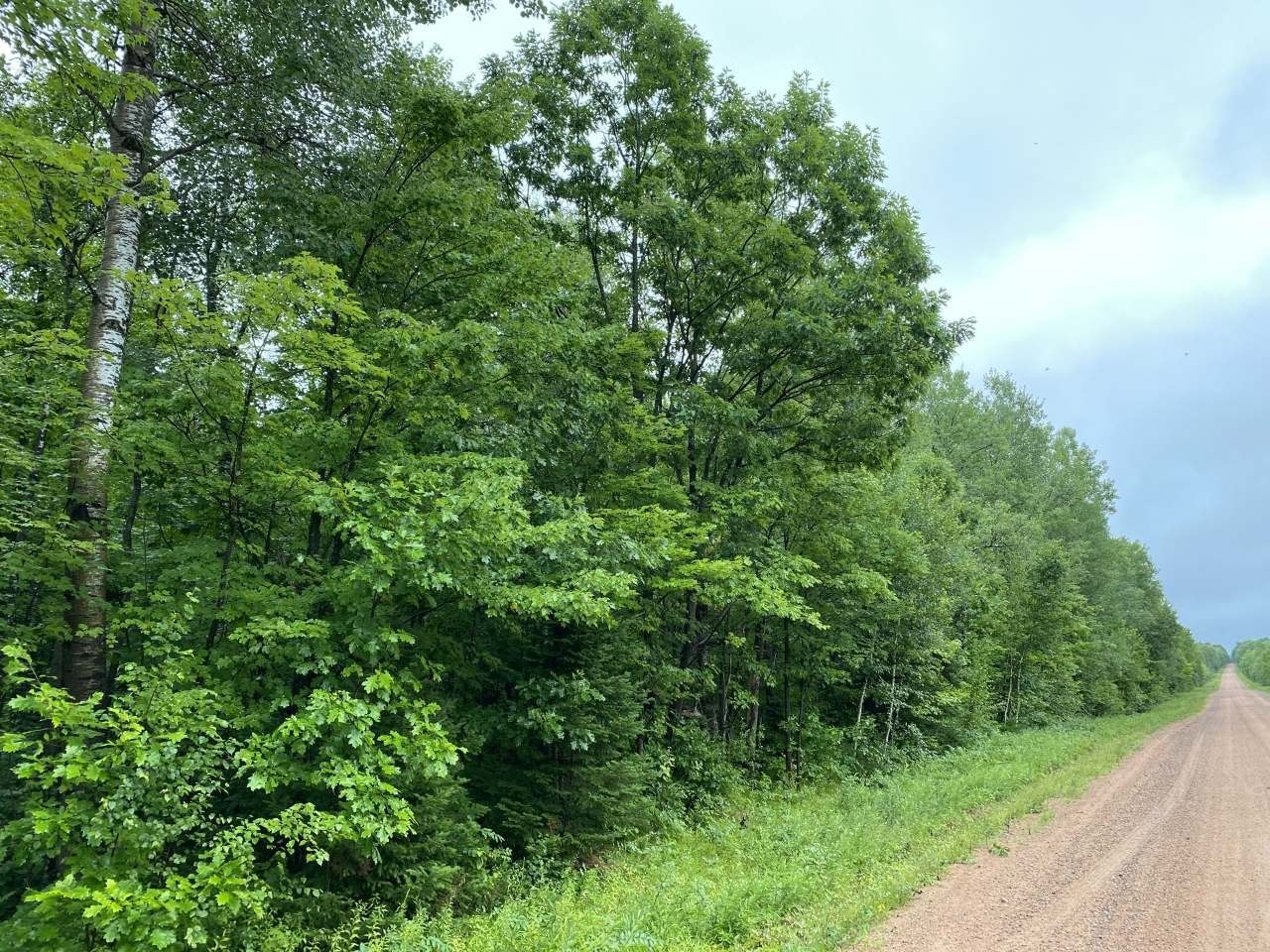 Merrill, Lincoln County, WI Farms and Ranches for sale Property ID
