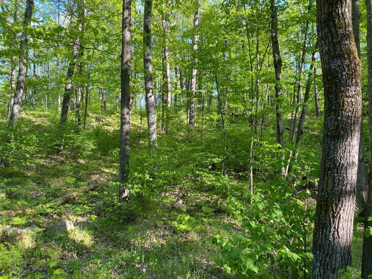 Rhinelander, Oneida County, WI Undeveloped Land, Homesites for sale