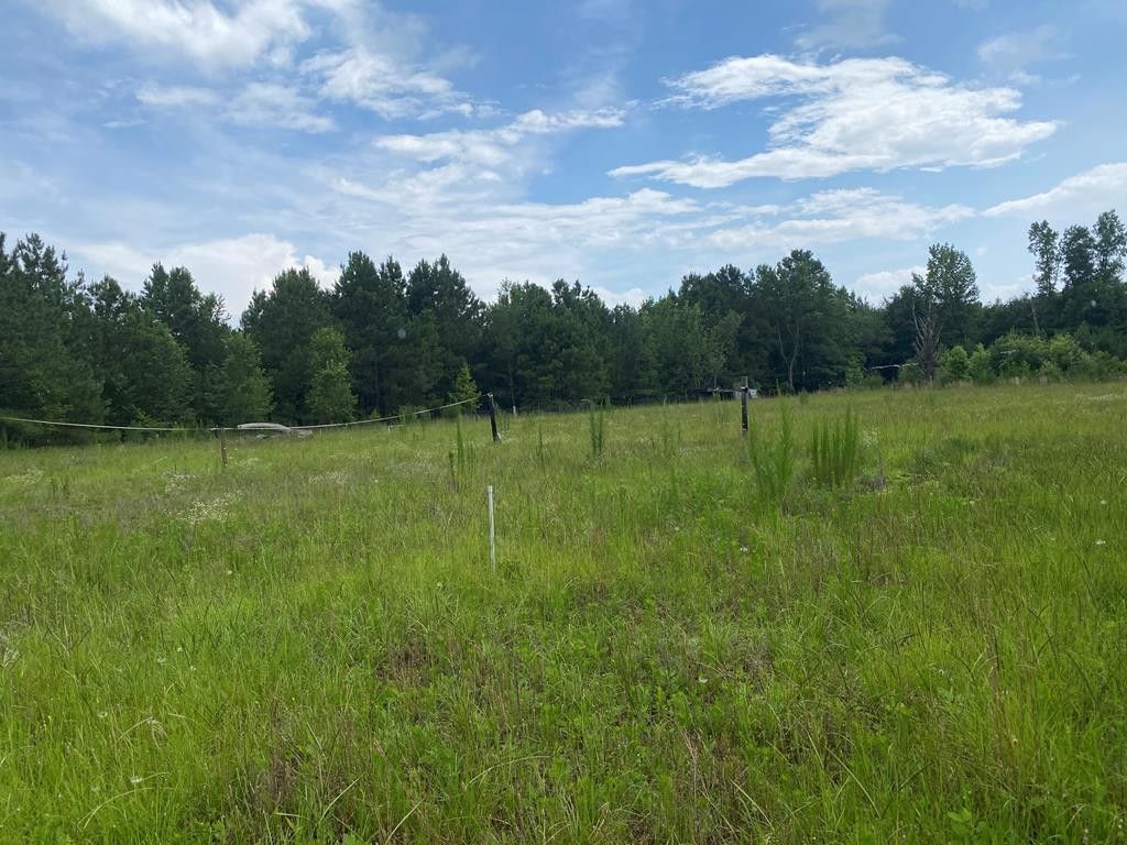 Sumter, Sumter County, SC Undeveloped Land, Homesites for sale Property