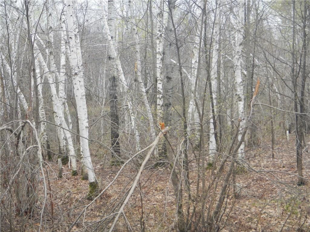 Weirgor, Sawyer County, WI Farms and Ranches for sale Property ID