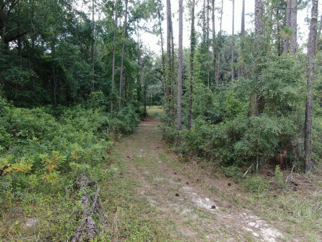 Lee, Madison County, FL Recreational Property, Riverfront Property