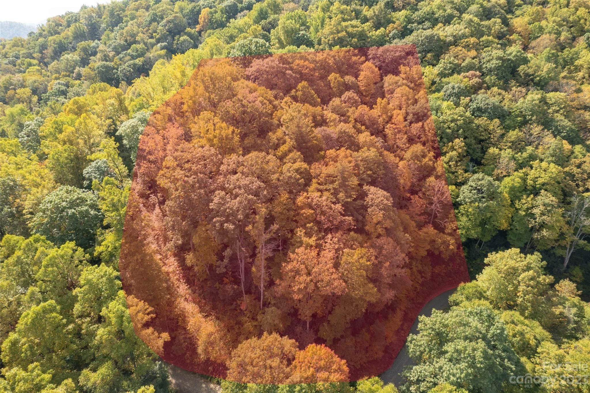 Waynesville, Haywood County, NC Undeveloped Land, Homesites for sale Property ID 416886151