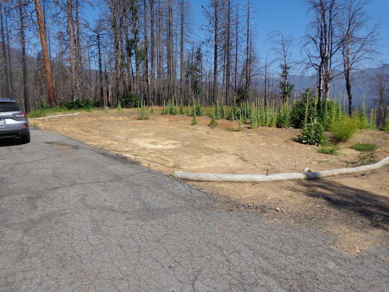 Greenville, Plumas County, CA Undeveloped Land for sale Property ID 416887958 LandWatch