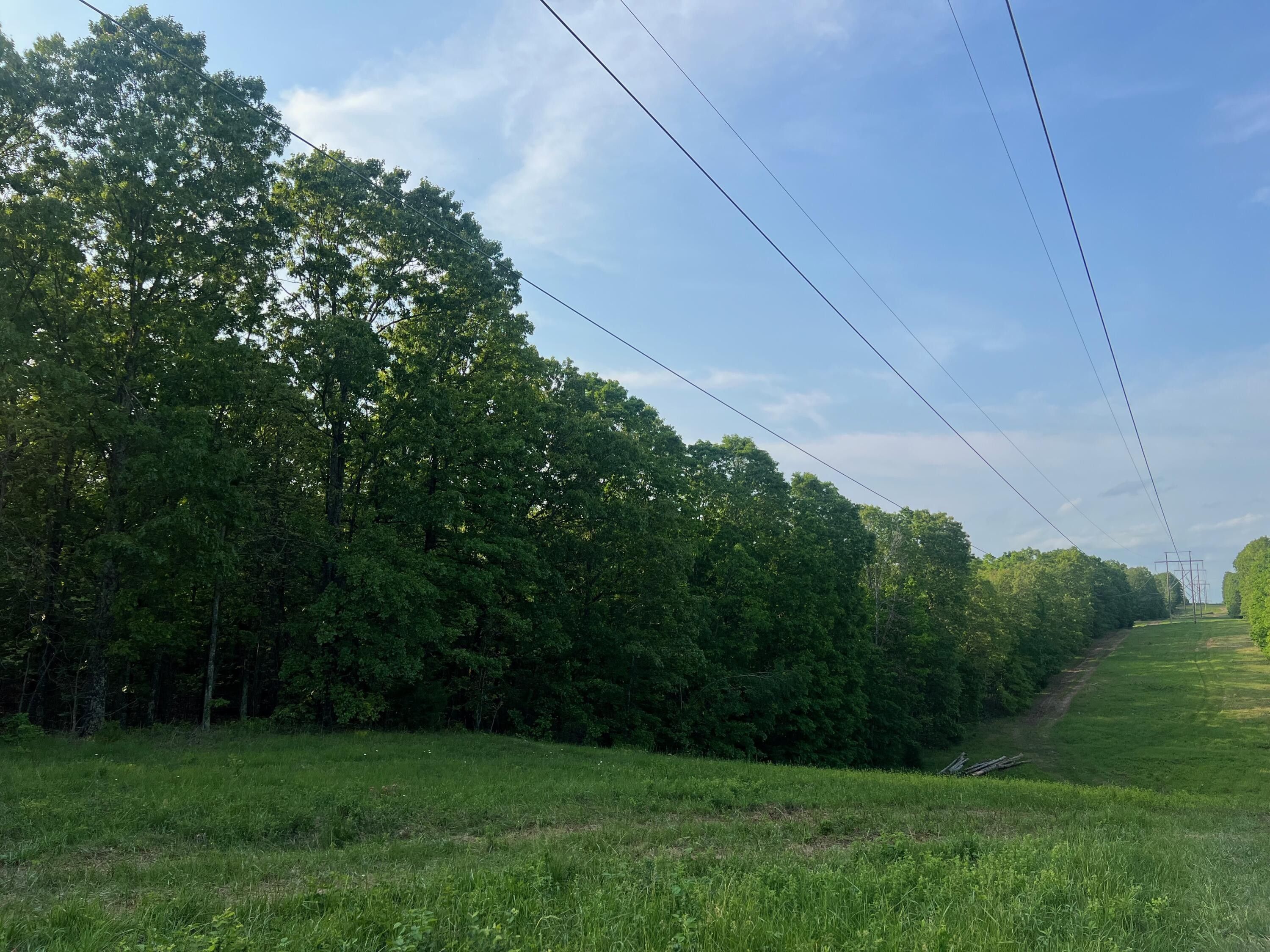 Caulfield, Howell County, MO Undeveloped Land for sale Property ID