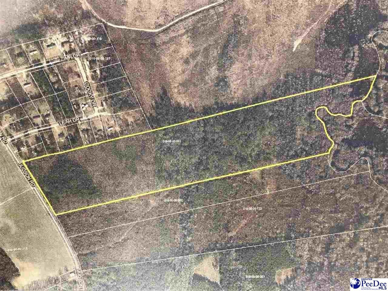 Dillon, Dillon County, SC Undeveloped Land for sale Property ID