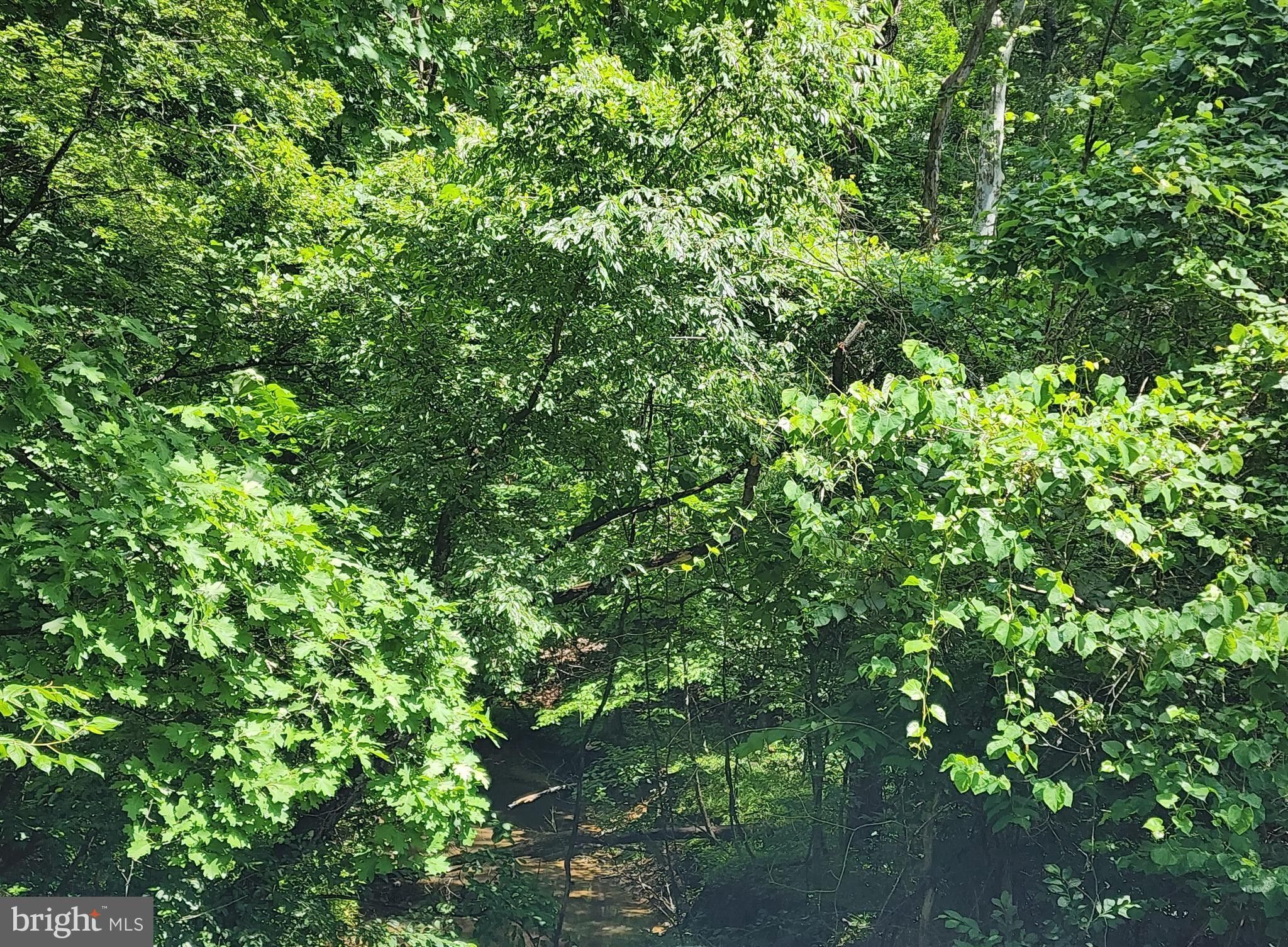 Hedgesville, County, WV Farms and Ranches for sale Property ID