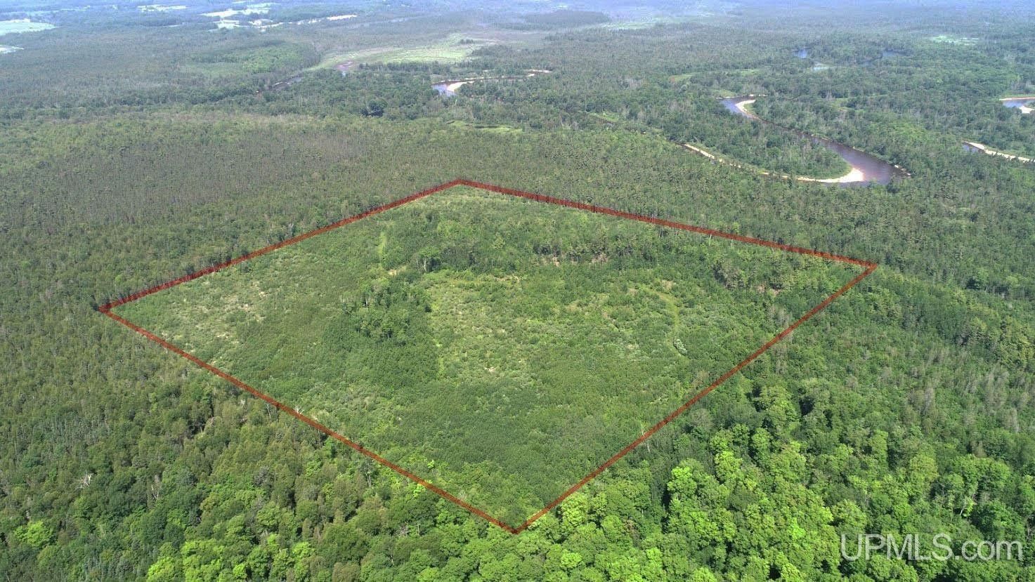 Manistique, Schoolcraft County, MI Farms and Ranches for sale Property