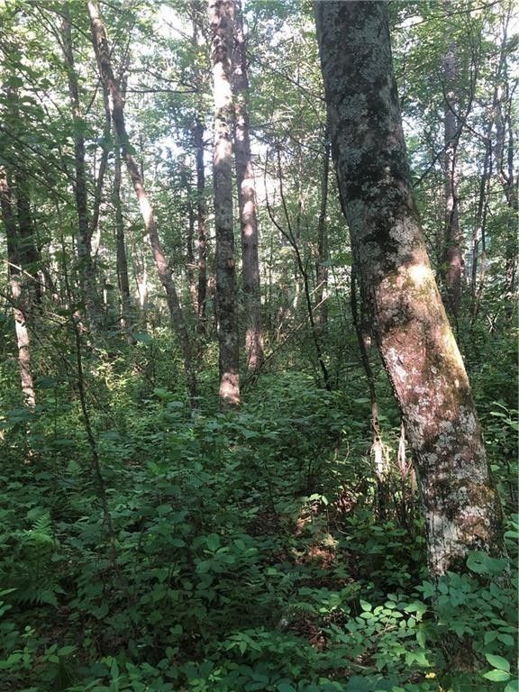 Black River Falls, Jackson County, WI Farms and Ranches, Lakefront