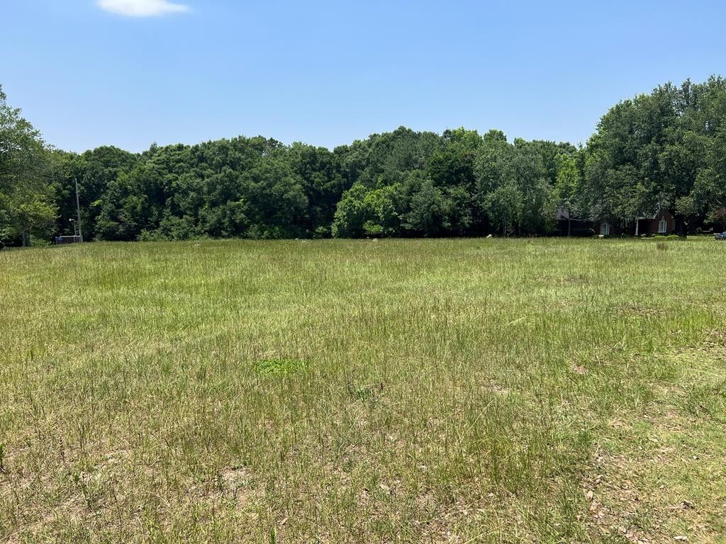 Dothan, Houston County, AL for sale Property ID 416890018 LandWatch