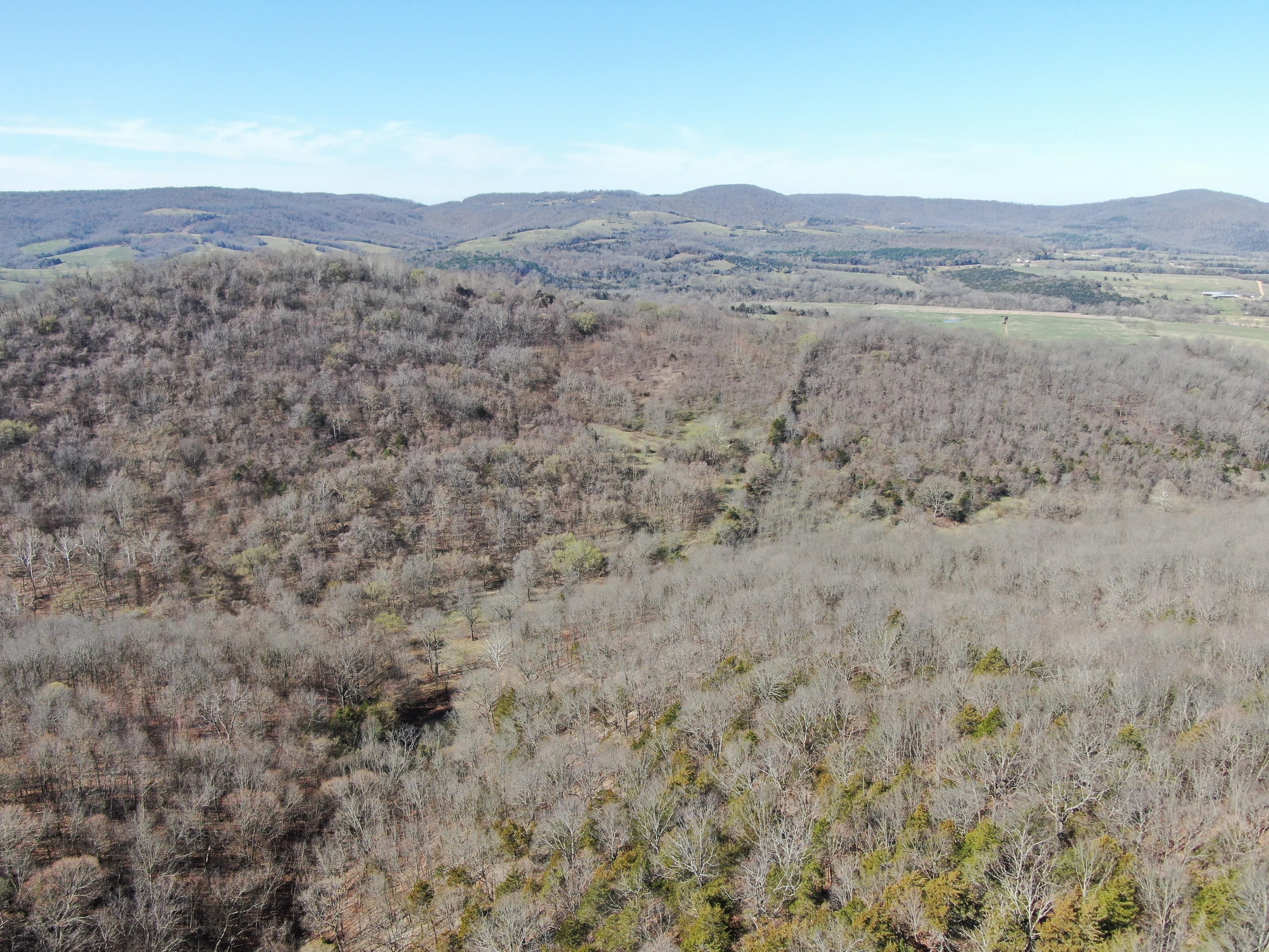 County Rd 995 Green Forest, AR 72638, Green Forest, AR 72638 LandWatch