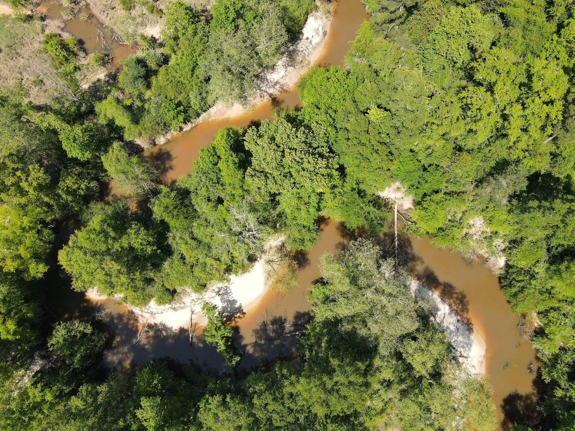 Laurel, Jones County, MS Farms and Ranches for sale Property ID