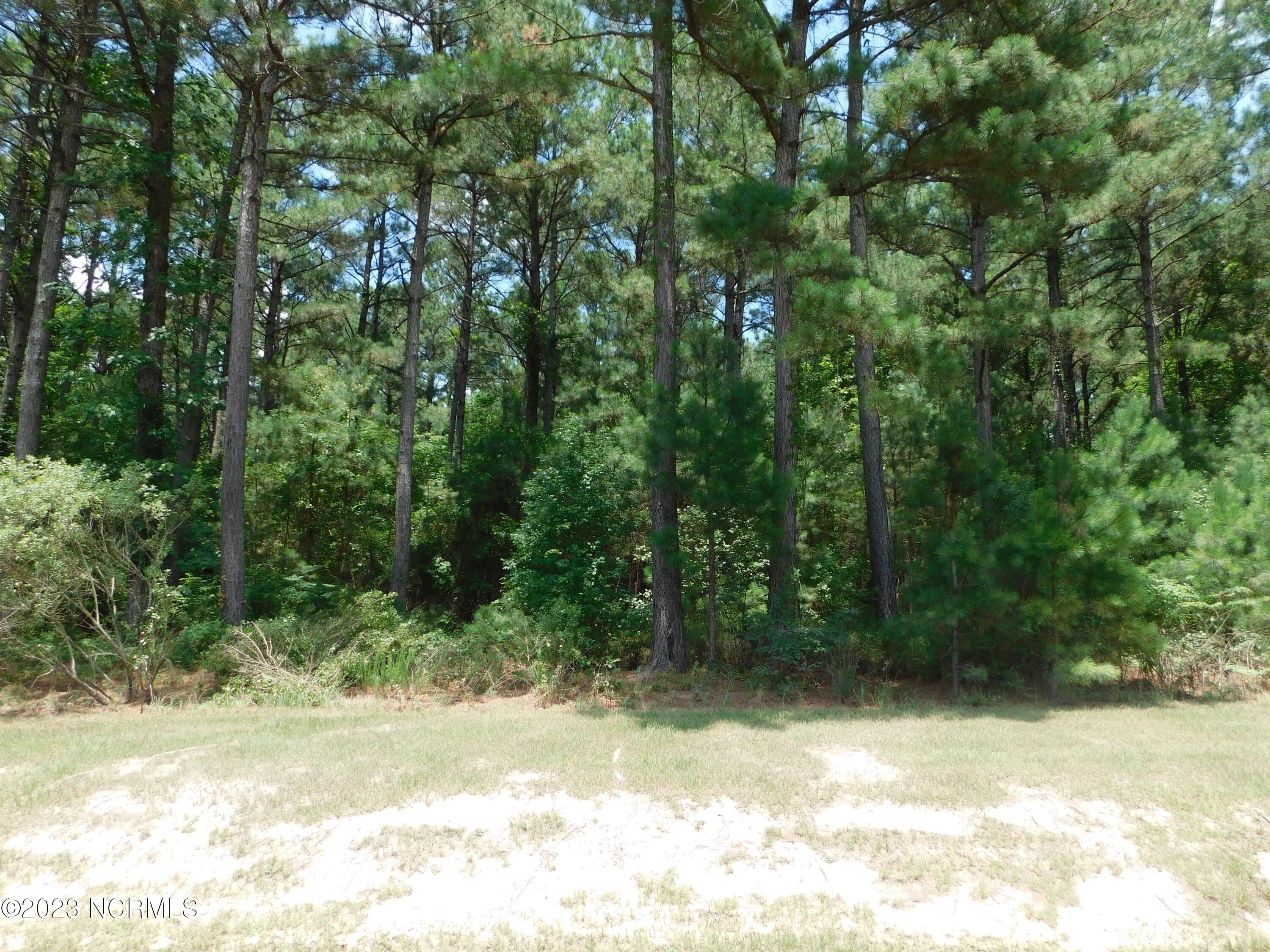 Hertford, Perquimans County, NC Undeveloped Land, Homesites for sale
