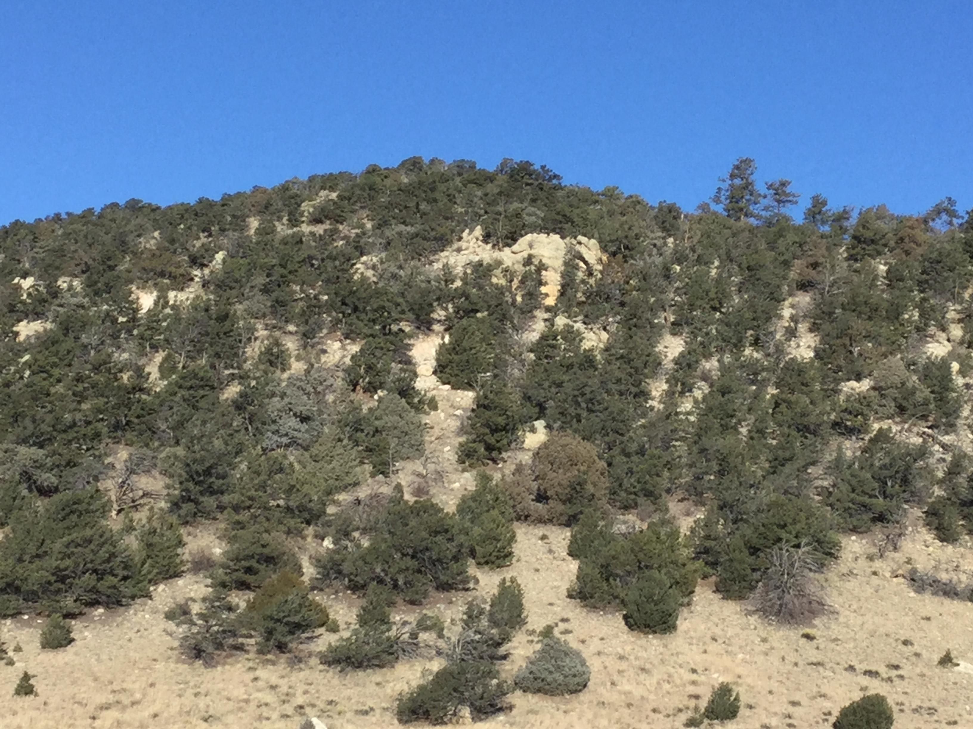 Salida, Chaffee County, CO Recreational Property, Undeveloped Land for