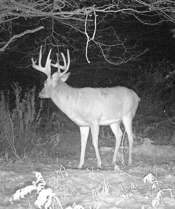 Bowler, Shawano County, WI Recreational Property, Timberland Property
