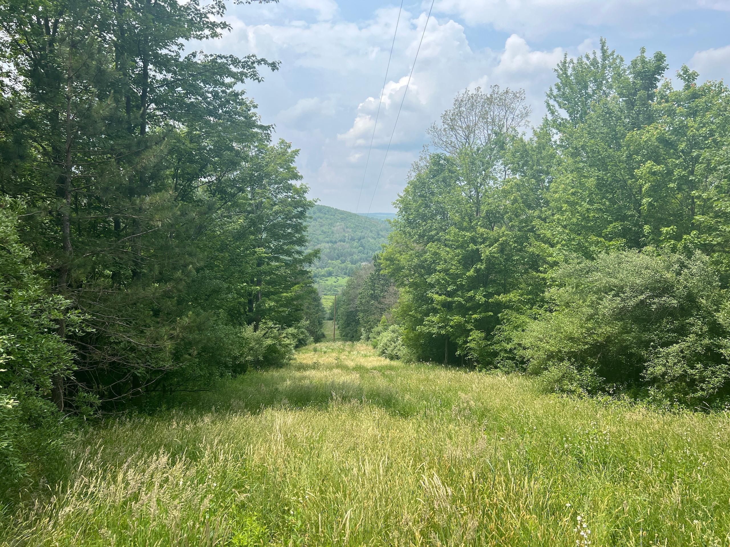 Ridge Rd, LotWP001, Gillett, PA 16925 LandWatch