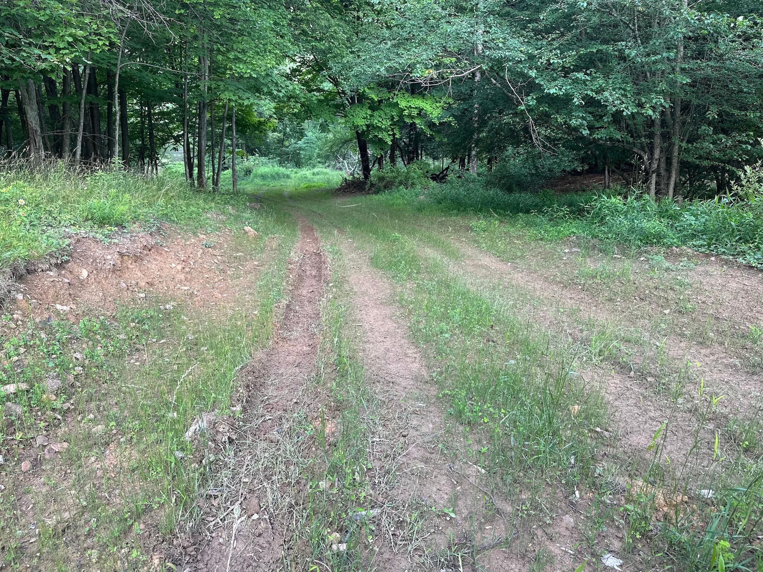 Guys Mills, Crawford County, PA Recreational Property, Timberland