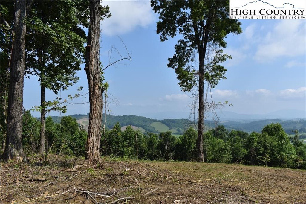 Sparta, Alleghany County, NC Undeveloped Land for sale Property ID