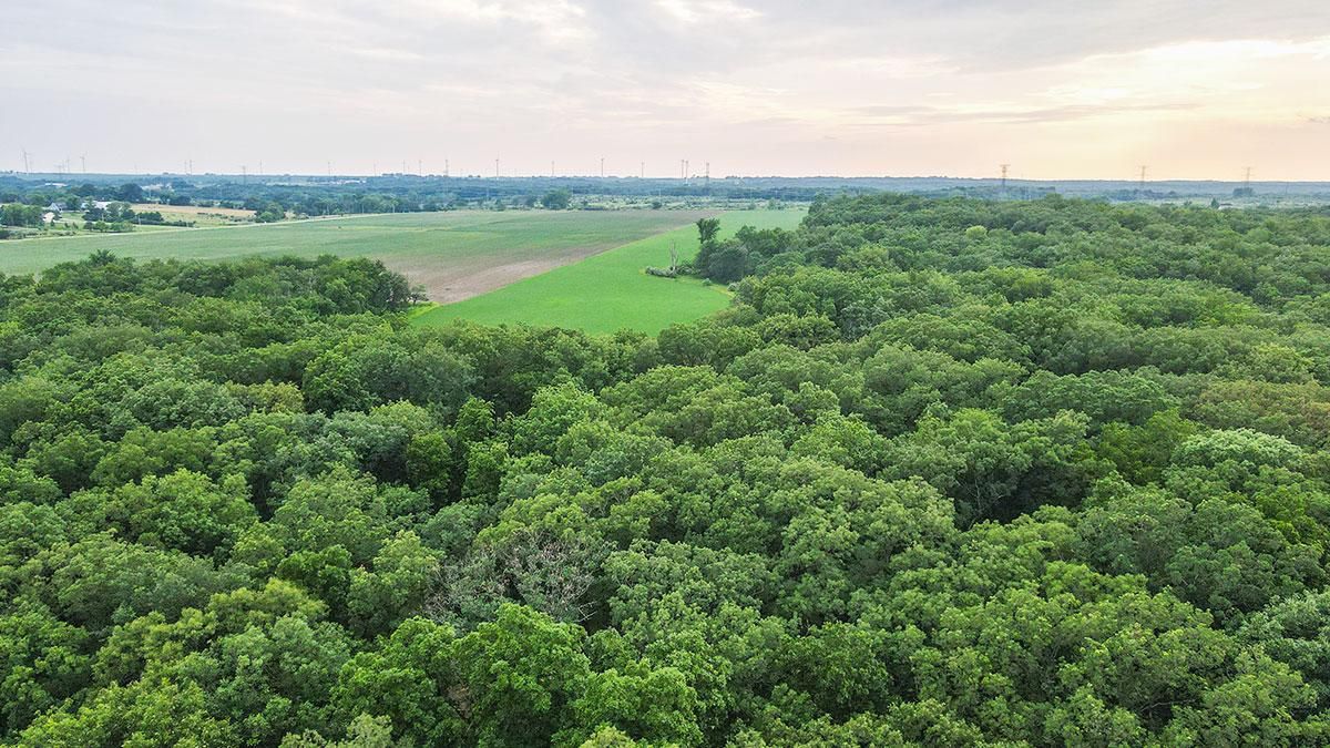 Seneca, LaSalle County, IL Recreational Property, Timberland Property