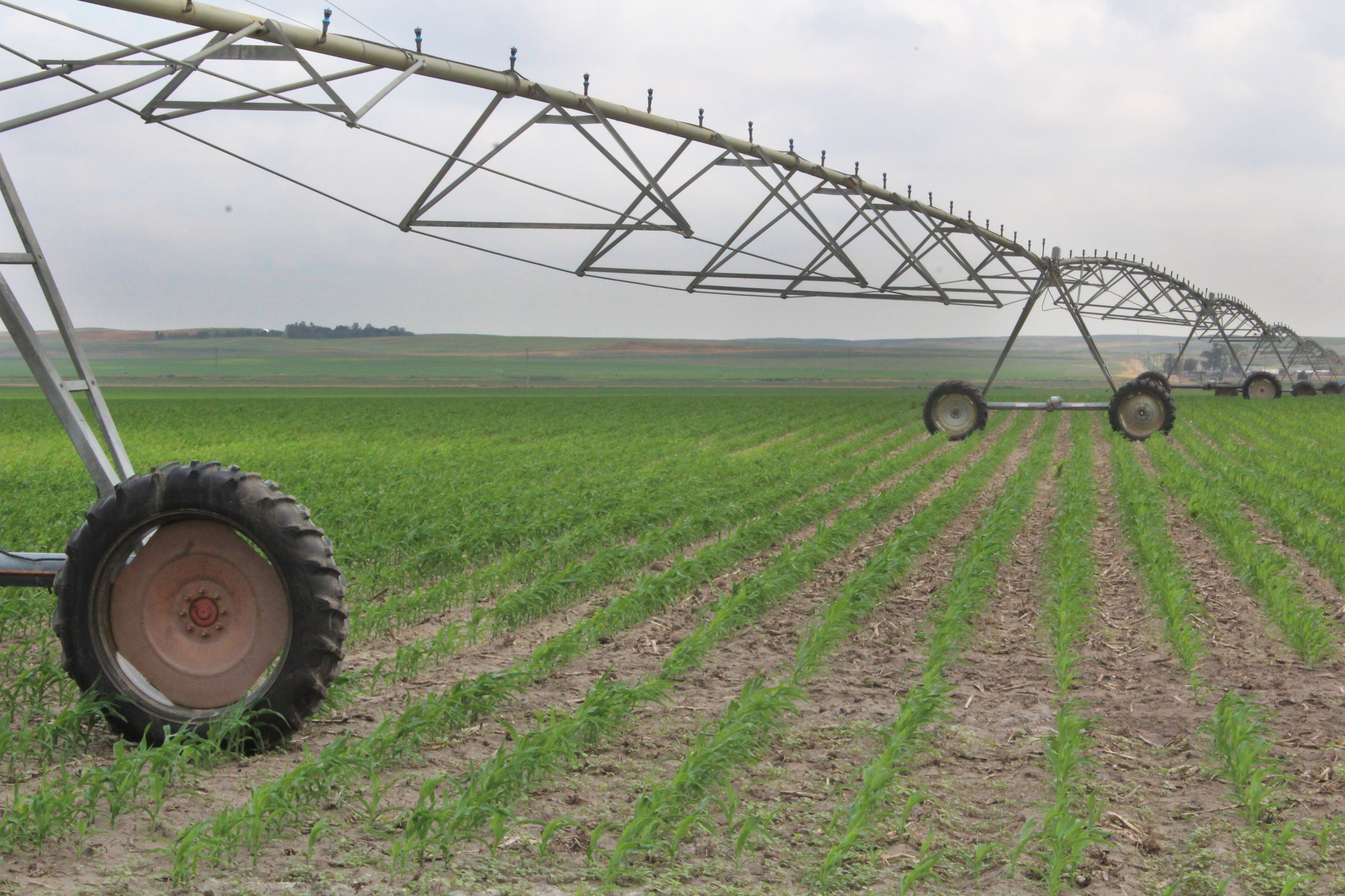 Big Springs, Deuel County, NE Farms and Ranches, Recreational Property