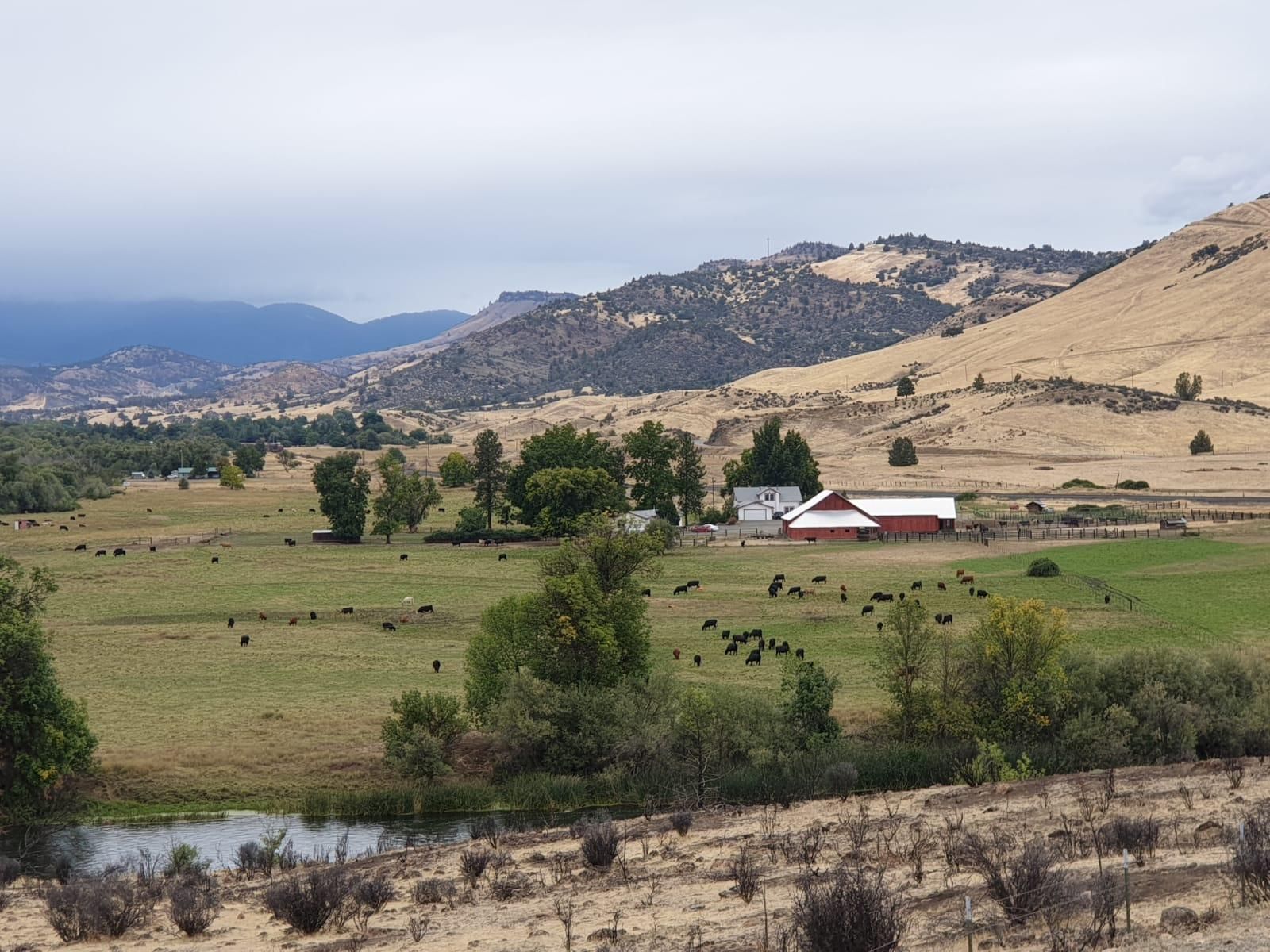 1224 Copco Road, Hornbrook, CA 96044 MLS ML81934612 LandWatch