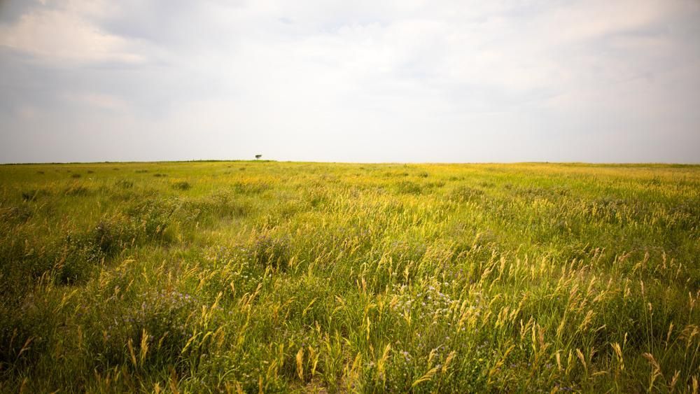 Ransom, Ness County, KS Farms and Ranches, Recreational Property