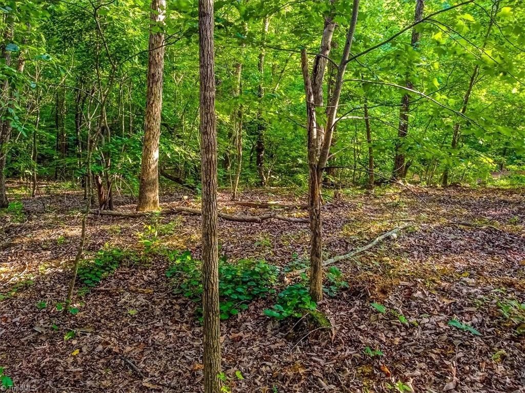 Denton, Randolph County, NC Undeveloped Land for sale Property ID