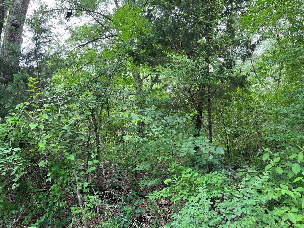 Trinidad, Henderson County, TX Undeveloped Land, Lakefront Property, Waterfront Property