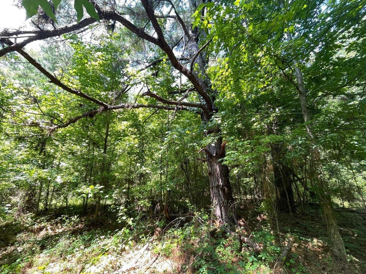 Wetumpka, Elmore County, AL Recreational Property, Undeveloped Land