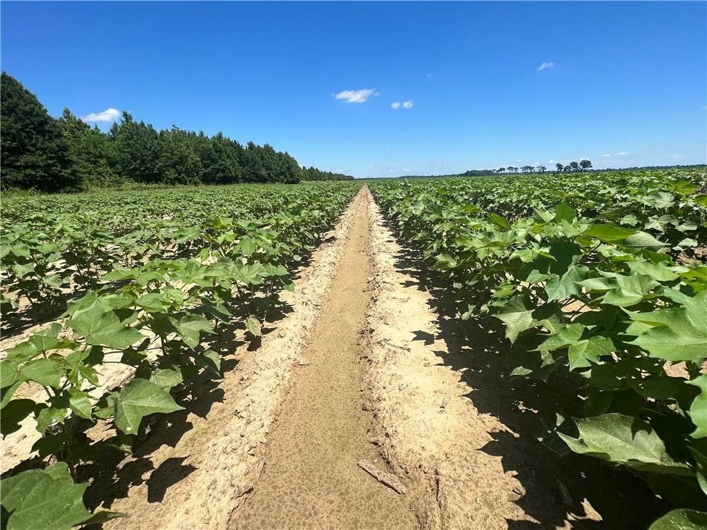 Ashton, Chicot County, AR Farms and Ranches for sale Property ID