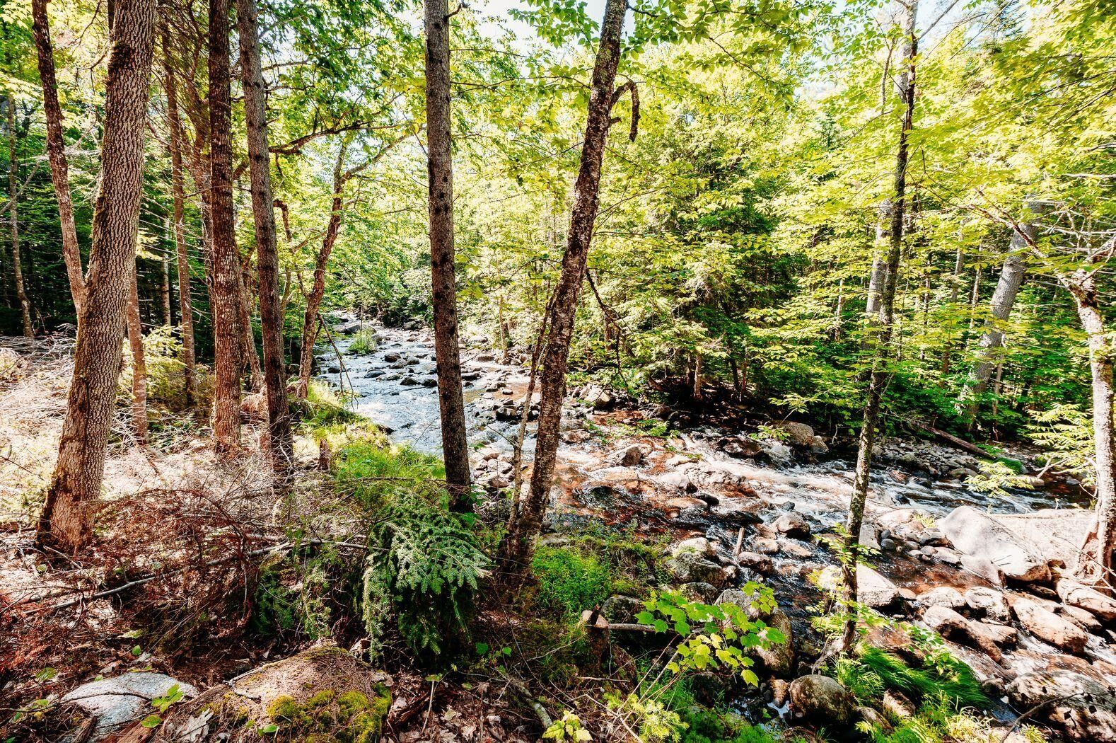 Wilton, Franklin County, ME Farms and Ranches, Lakefront Property