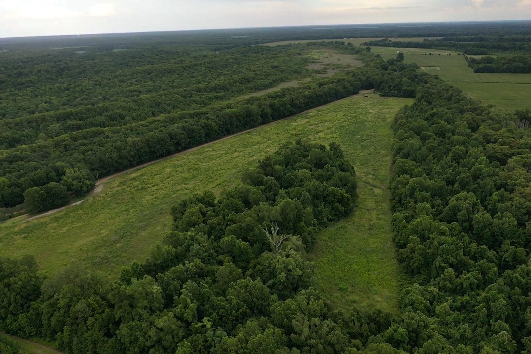 Jonesville, Catahoula Parish, LA Recreational Property for sale